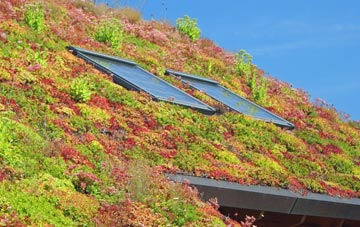 Jack Green living roof systems